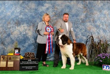Zeus gagnant de Best in Speciality Show, Best Canadian Bred in Show