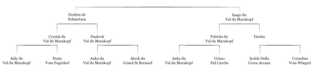 Pedigree Pako
