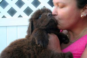 Claudie avec un chiot Terre-Neuve