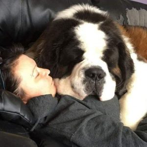 Zeus et Claudie font la sieste