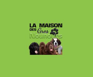 Logo La maison des Gros Nounours