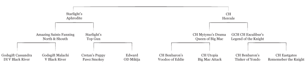Angel pedigree