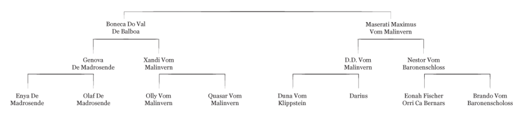 Victoria pedigree