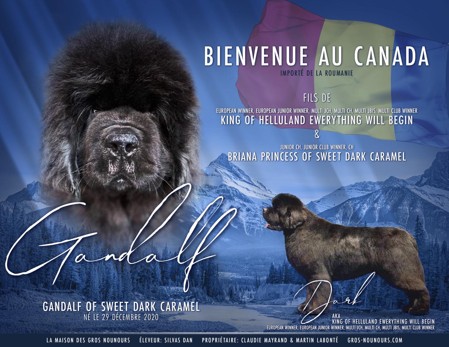 Fiche Gandalf